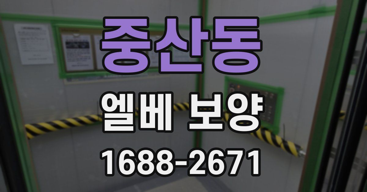 중산동 엘베 보양