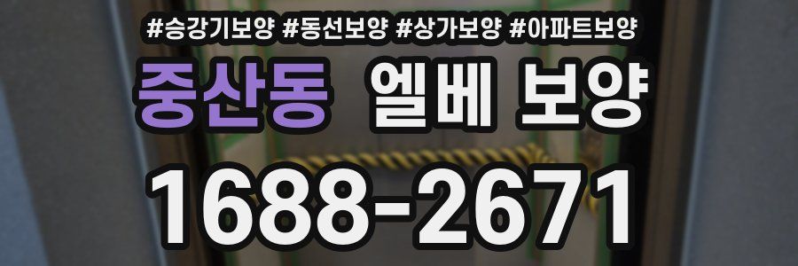 중산동 엘베 보양