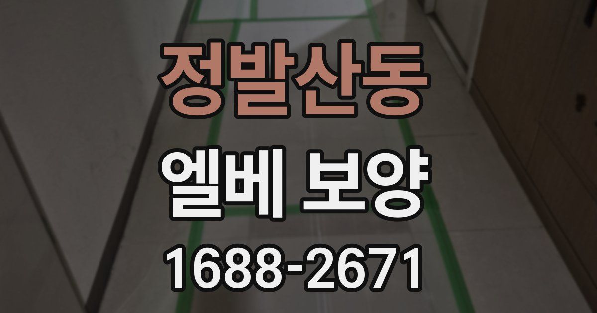 정발산동 엘베 보양
