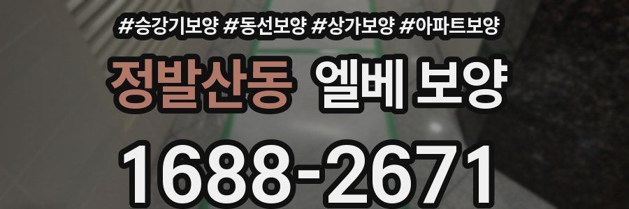 정발산동 엘베 보양