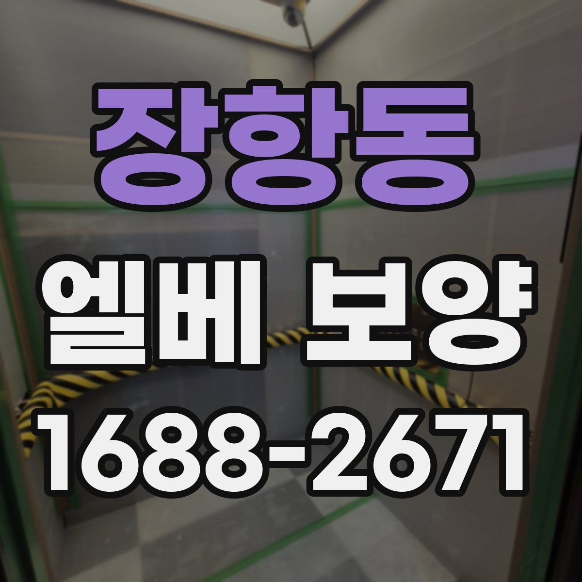 장항동 엘베 보양