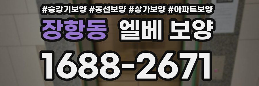 장항동 엘베 보양