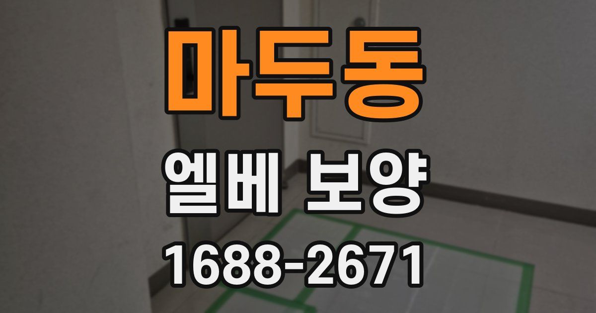 마두동 엘베 보양