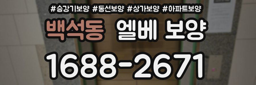 백석동 엘베 보양