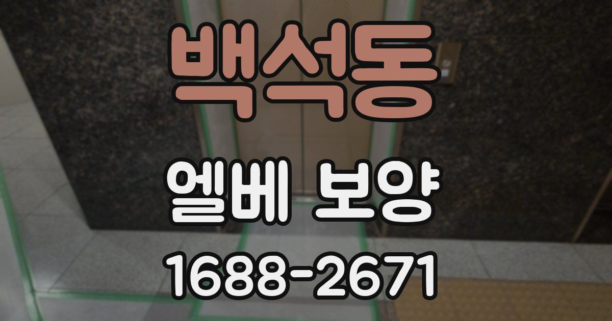 백석동 엘베 보양