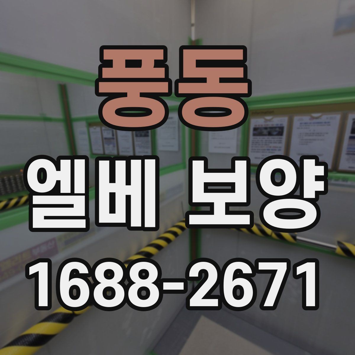 풍동 엘베 보양 승강기 내부 마감 보호 순서