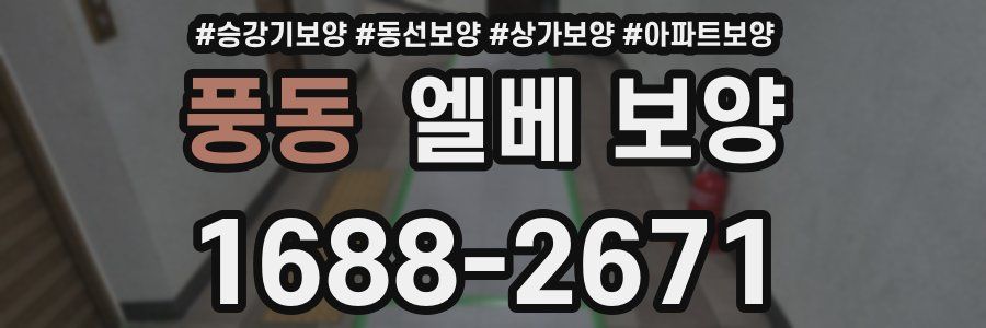 풍동 엘베 보양