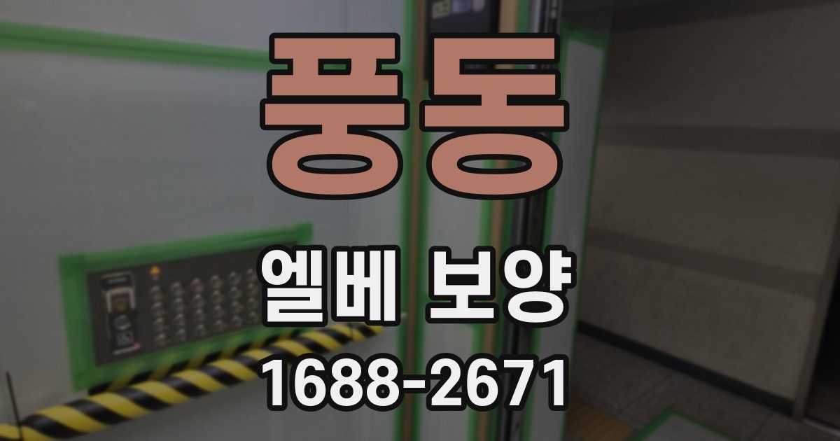 풍동 엘베 보양