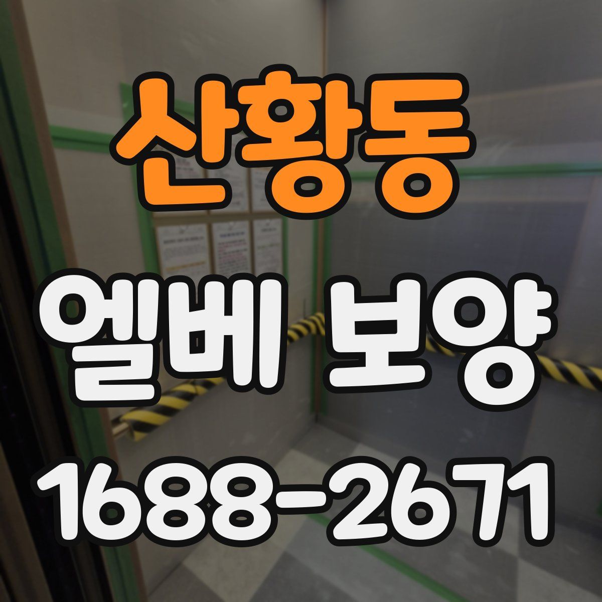 산황동 엘베 보양