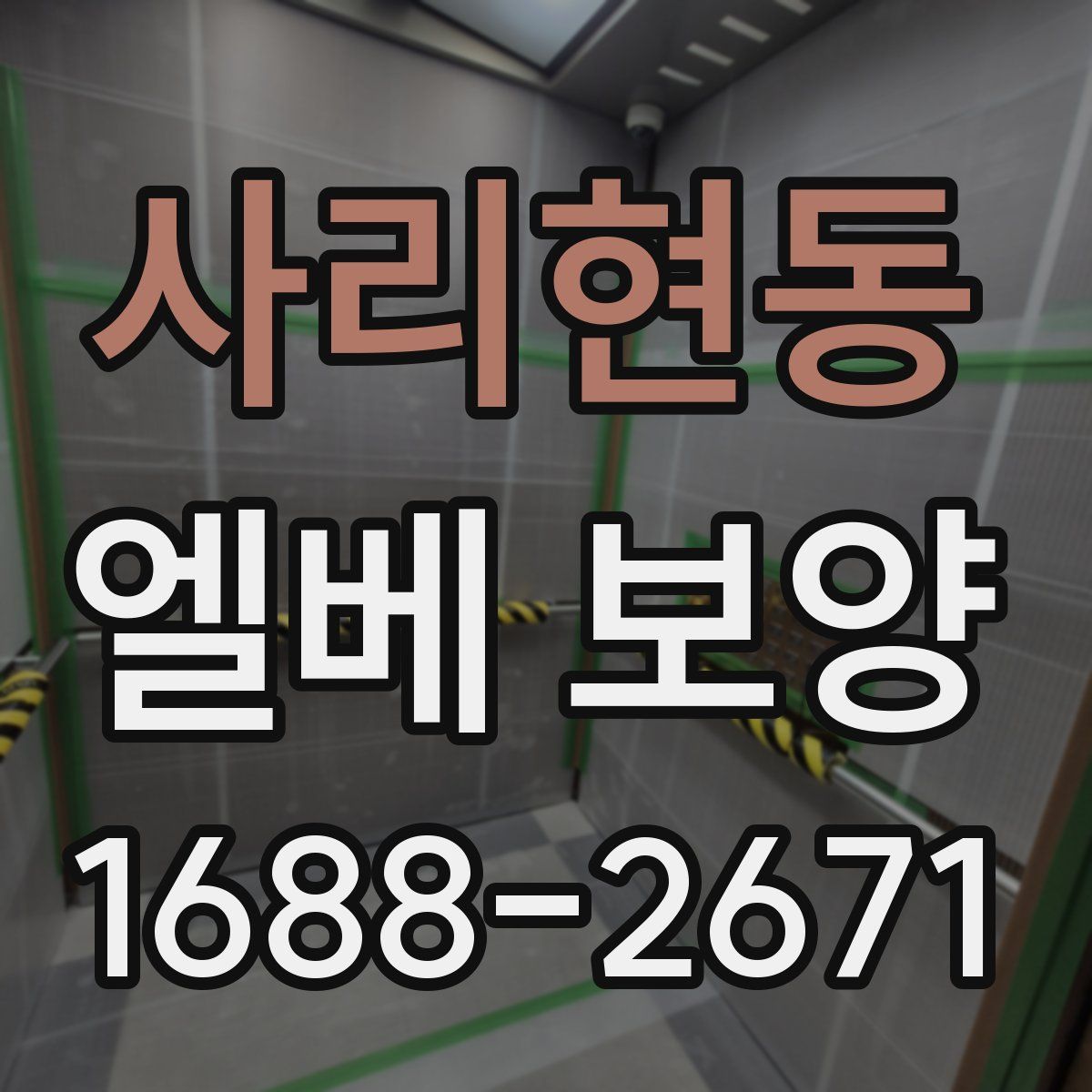 사리현동 엘베 보양