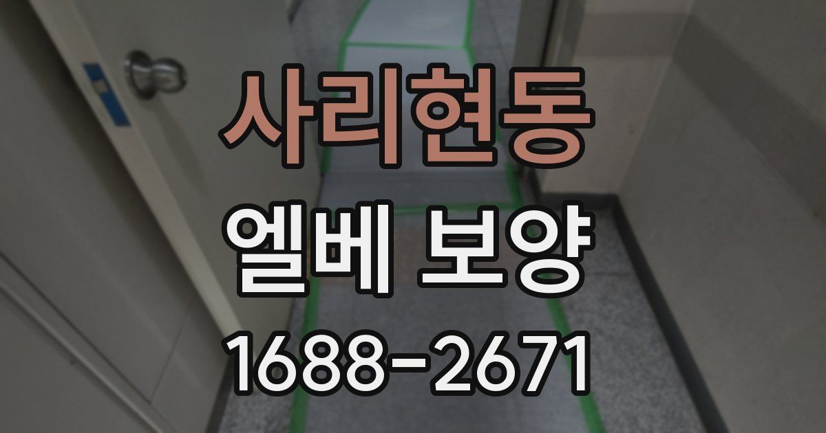 사리현동 엘베 보양
