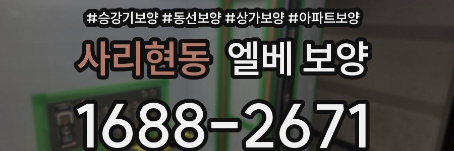 사리현동 엘베 보양