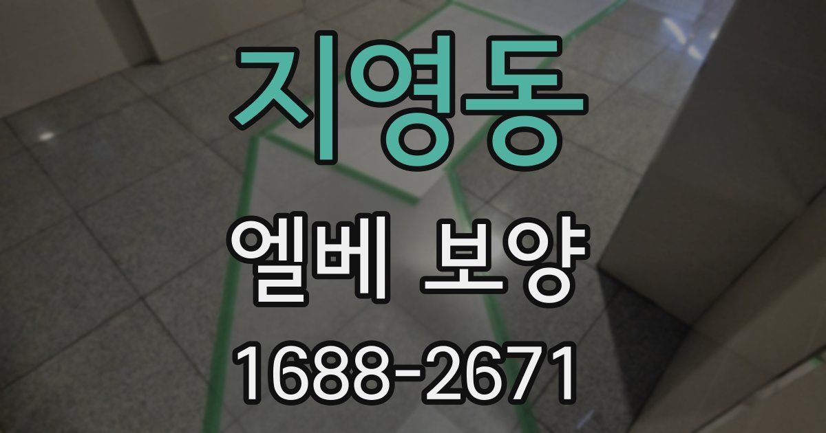 지영동 엘베 보양