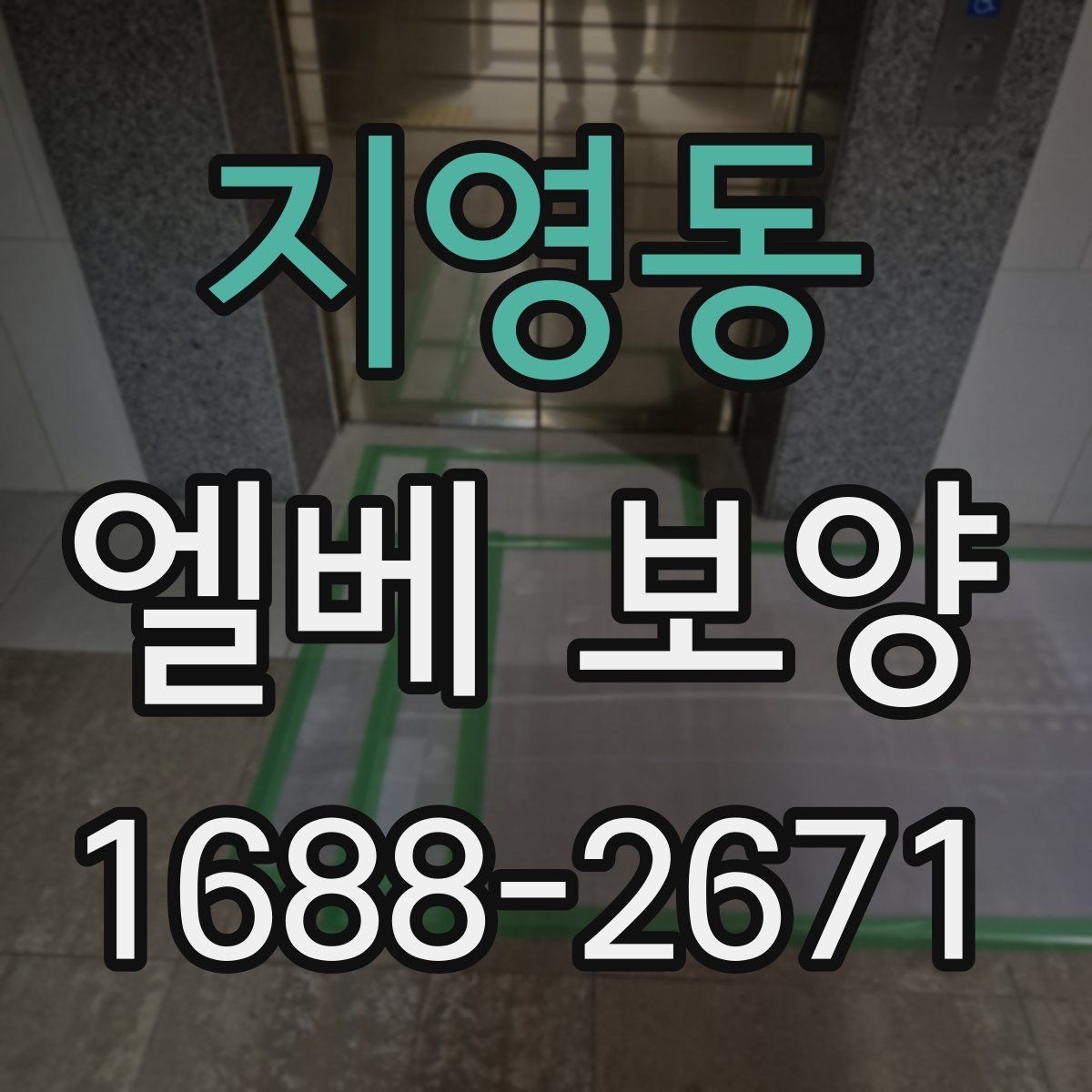 지영동 엘베 보양