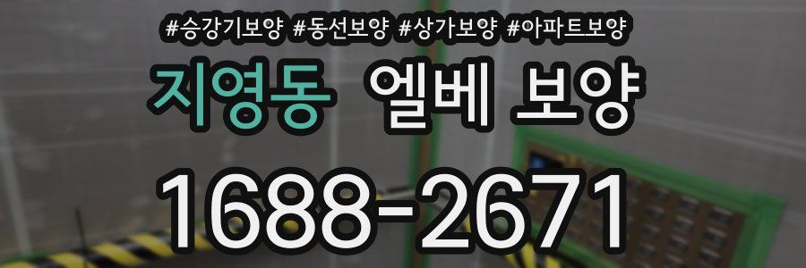 지영동 엘베 보양