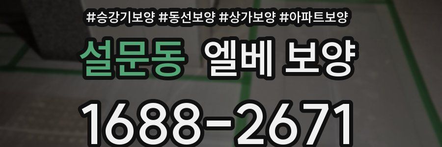 설문동 엘베 보양