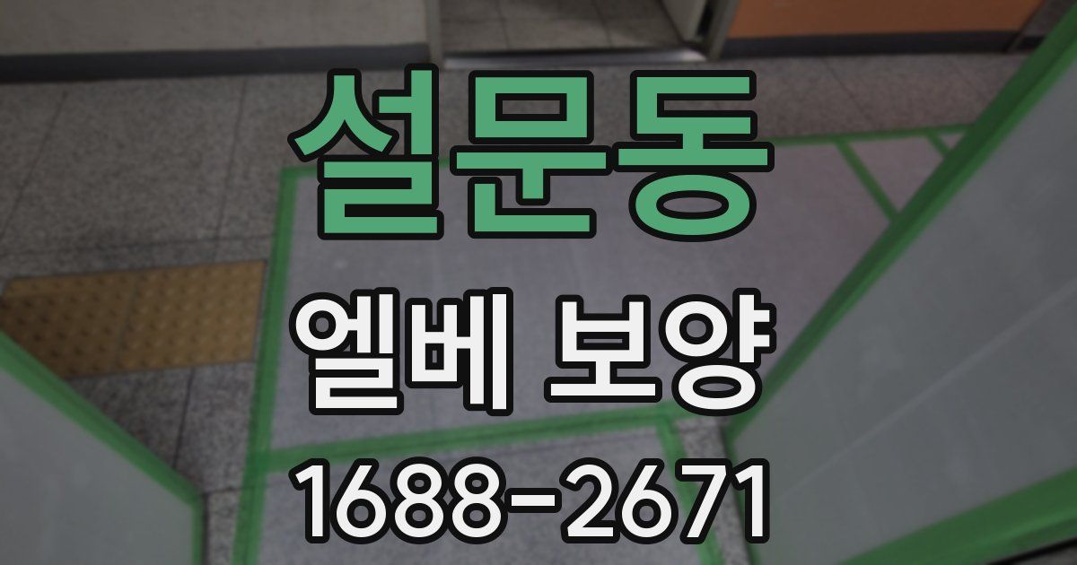 설문동 엘베 보양