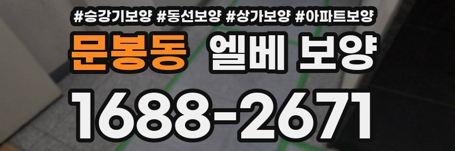 문봉동 엘베 보양