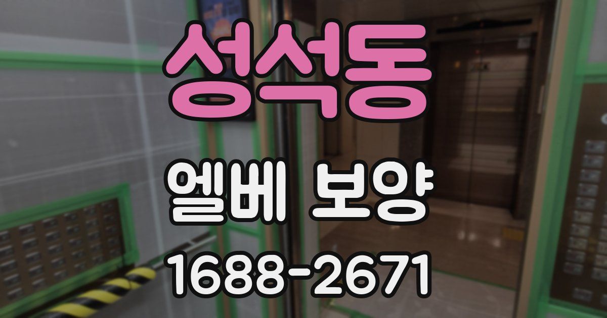 성석동 엘베 보양