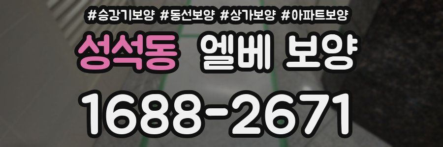 성석동 엘베 보양