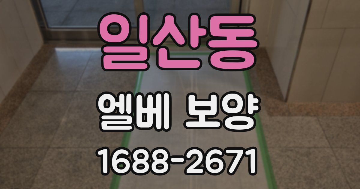 일산동 엘베 보양