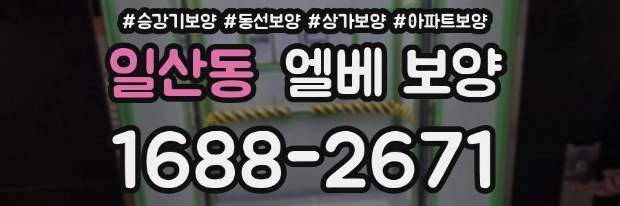 일산동 엘베 보양
