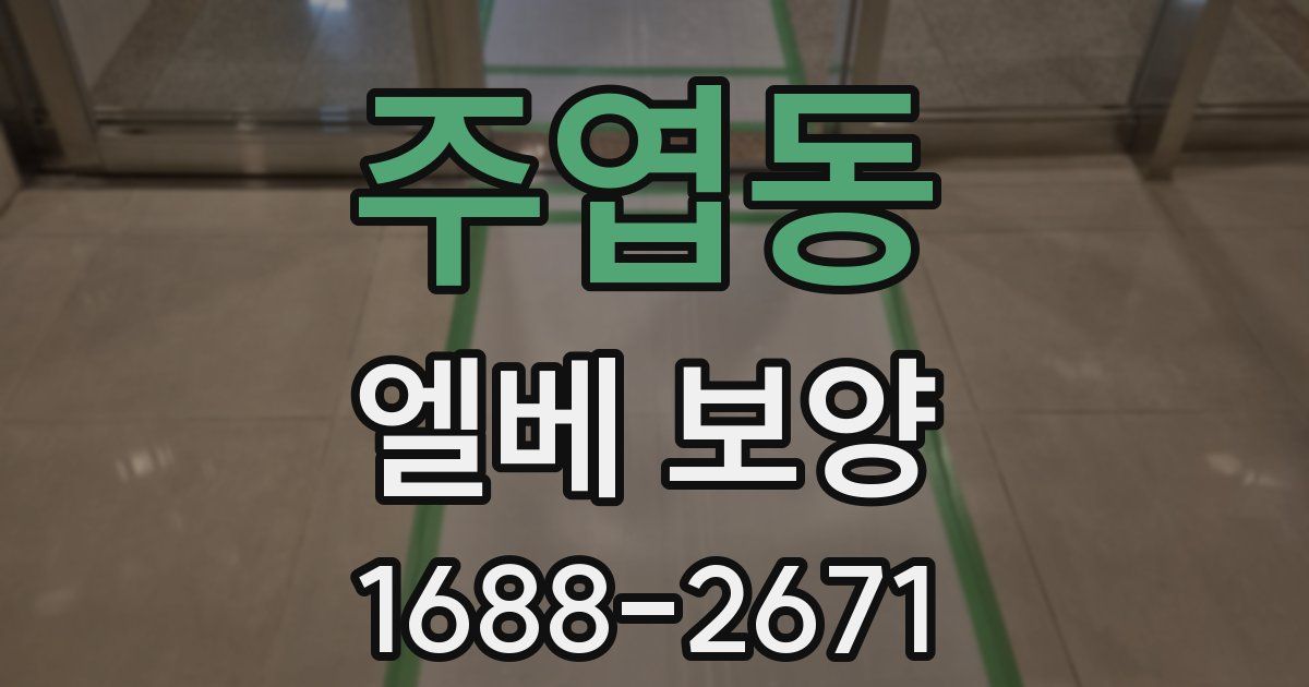 주엽동 엘베 보양