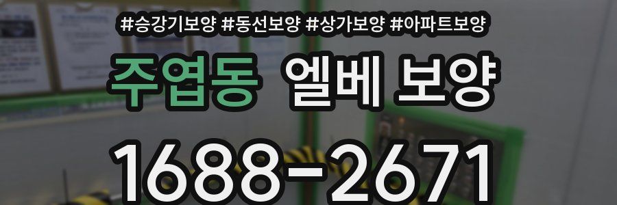 주엽동 엘베 보양