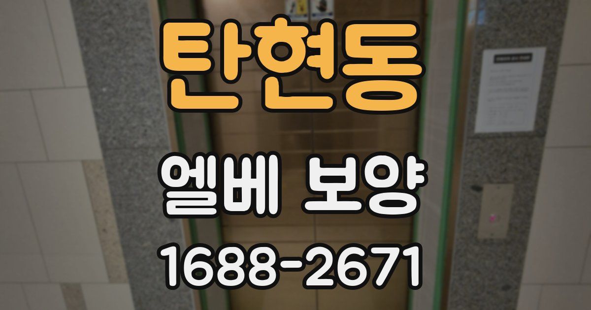탄현동 엘베 보양