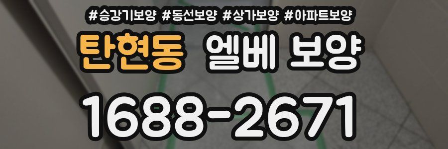 탄현동 엘베 보양