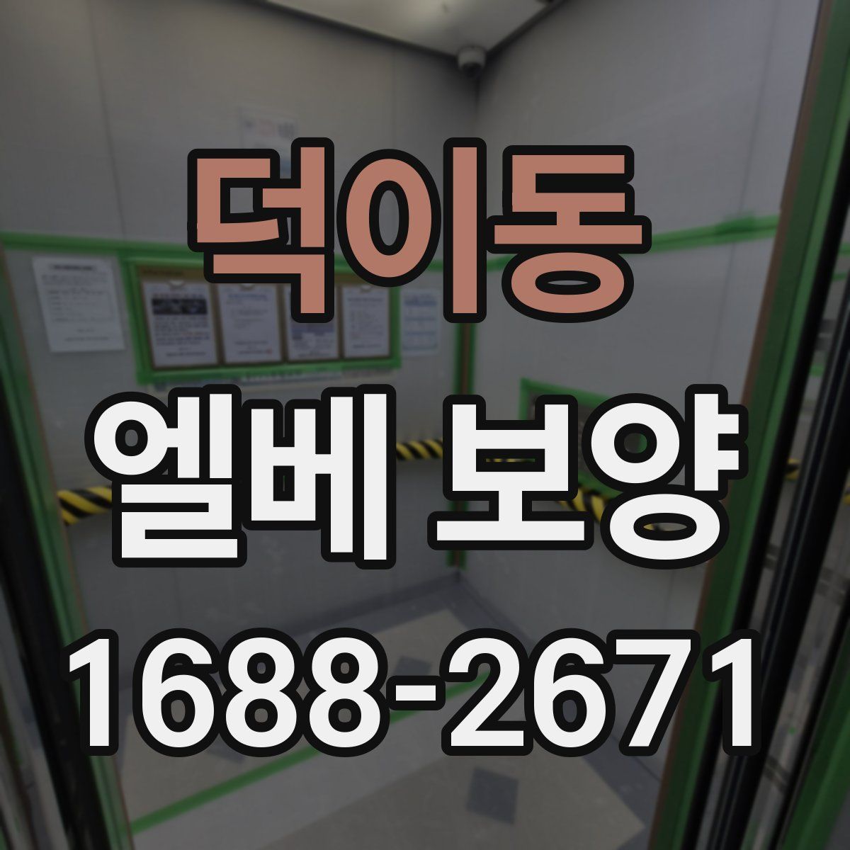 덕이동 엘베 보양