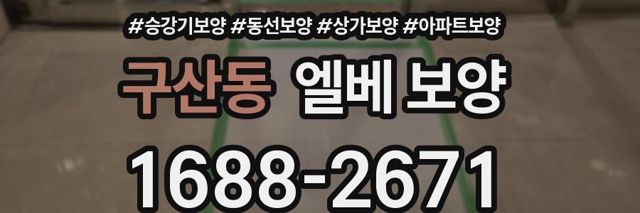 구산동 엘베 보양