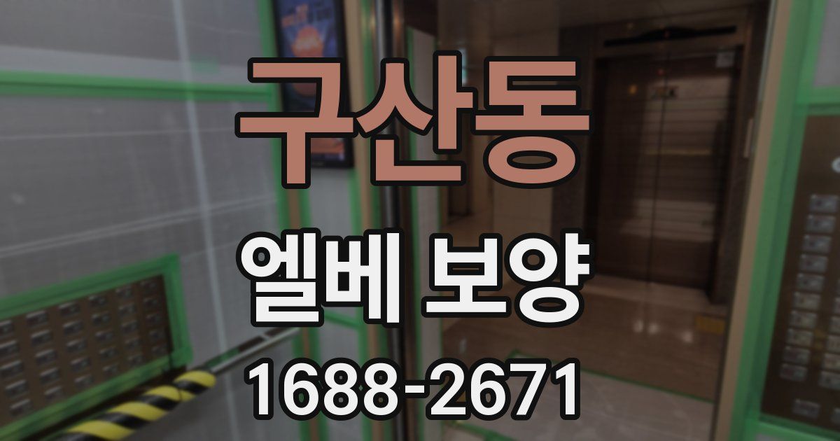 구산동 엘베 보양