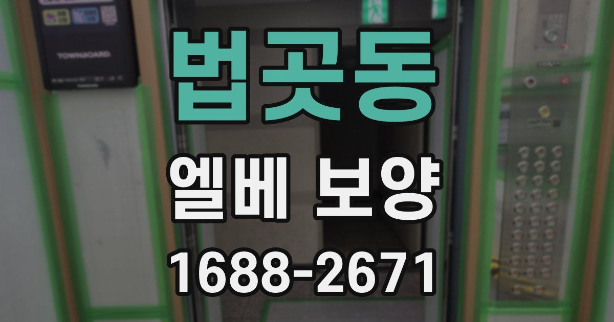 법곳동 엘베 보양