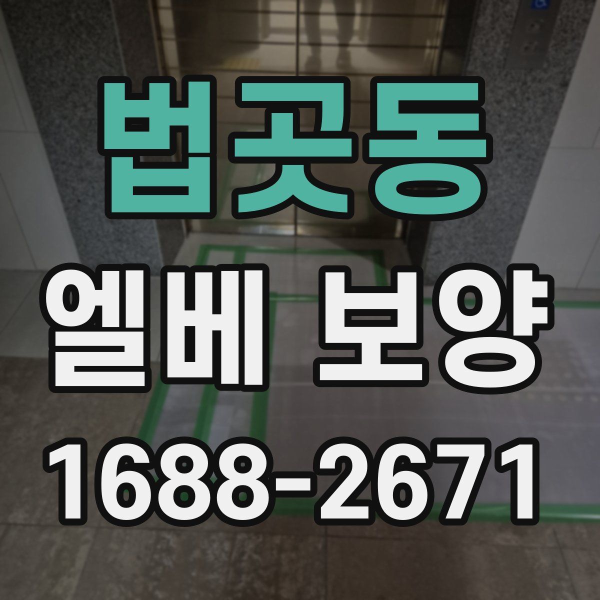 법곳동 엘베 보양