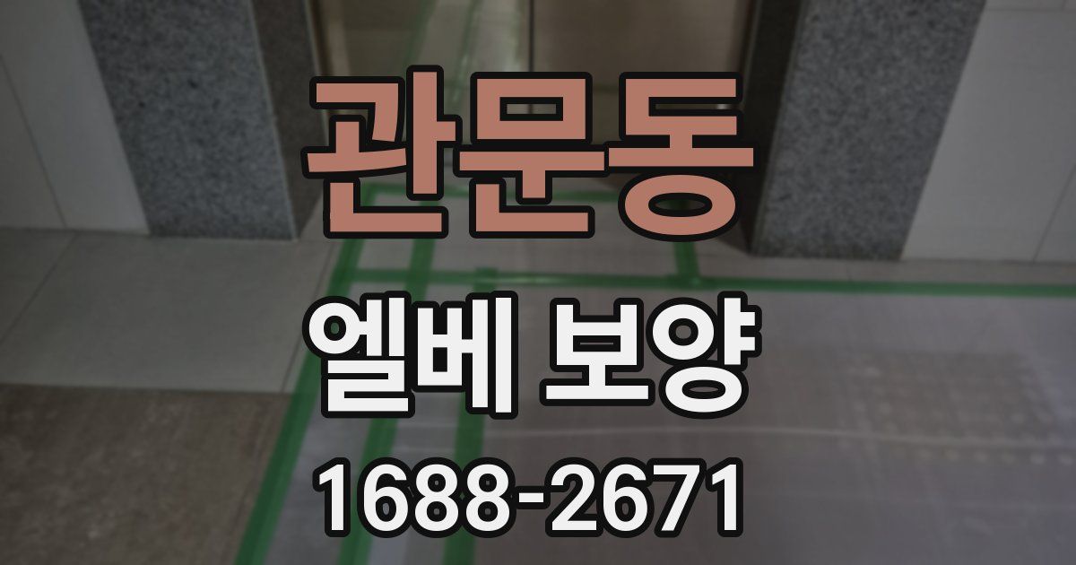 관문동 엘베 보양