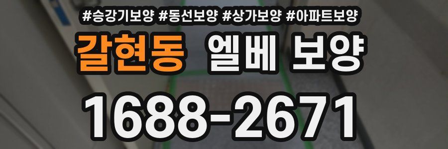 갈현동 엘베 보양