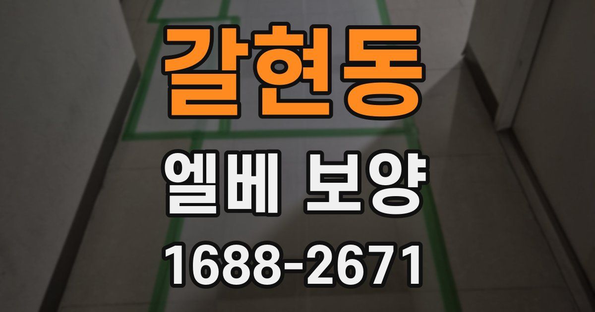 갈현동 엘베 보양