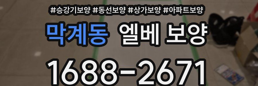 막계동 엘베 보양