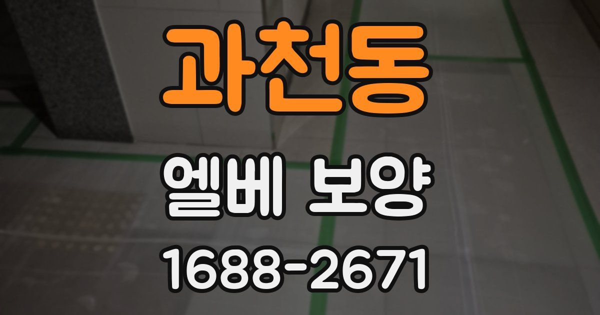 과천동 엘베 보양
