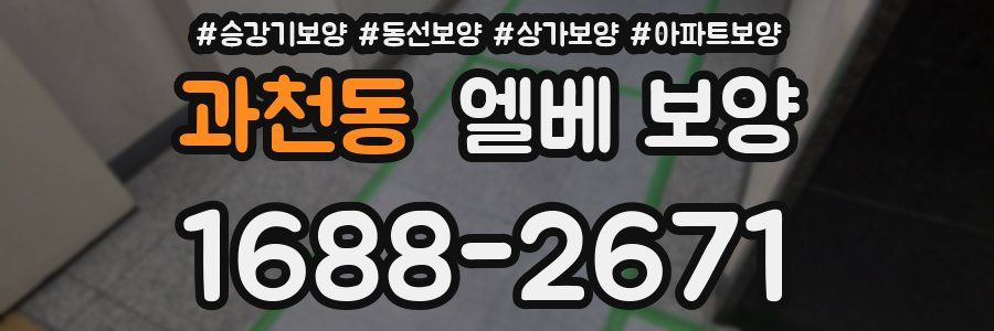 과천동 엘베 보양