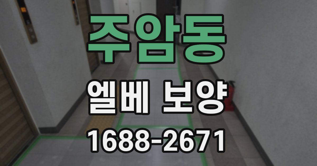 주암동 엘베 보양