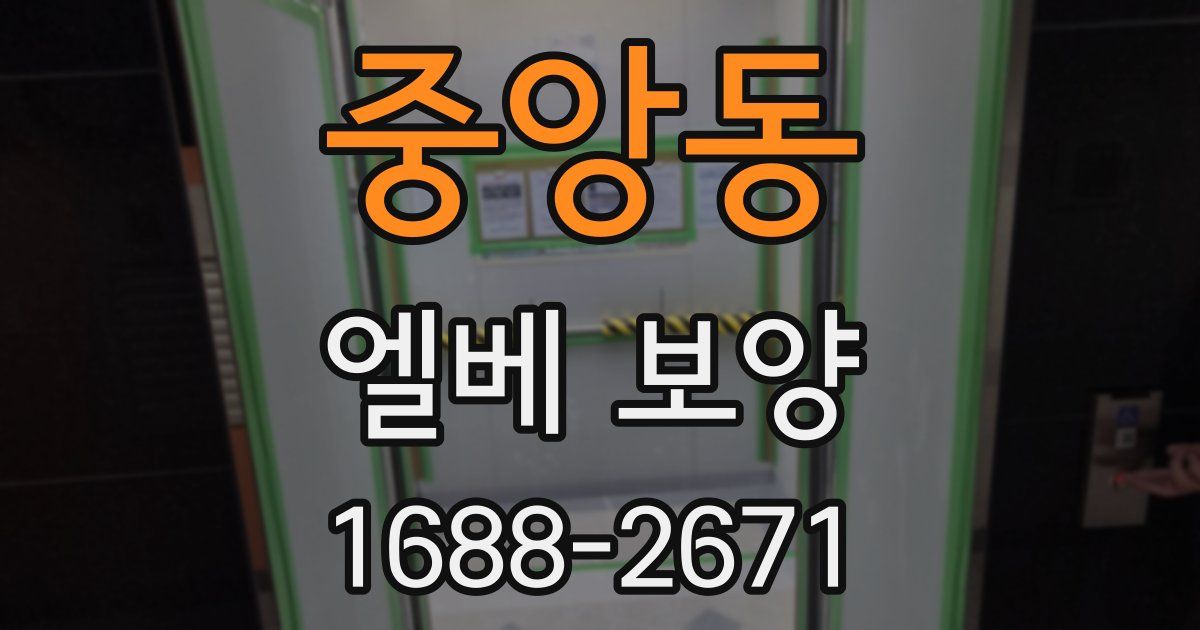 중앙동 엘베 보양