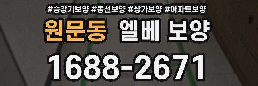 원문동 엘베 보양