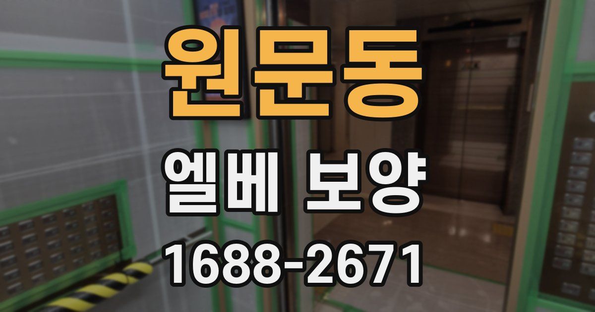 원문동 엘베 보양