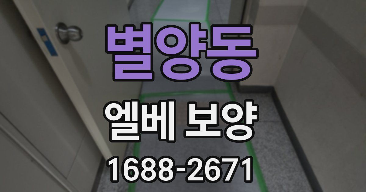 별양동 엘베 보양