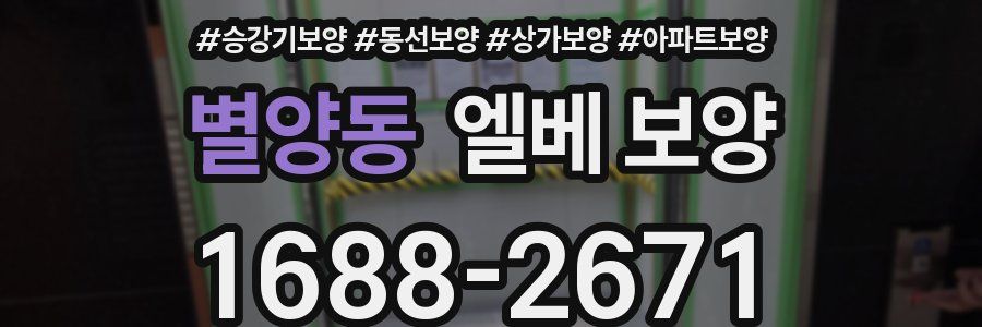 별양동 엘베 보양