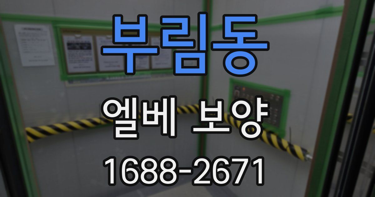 부림동 엘베 보양