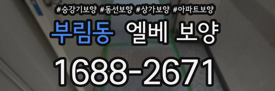 부림동 엘베 보양