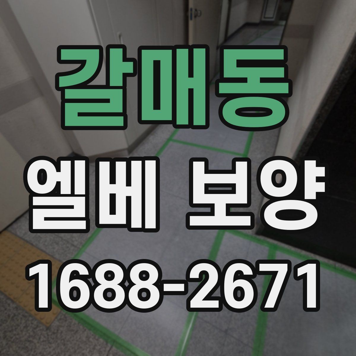 갈매동 엘베 보양 문틀과 버튼부를 함께 보호하는 방법